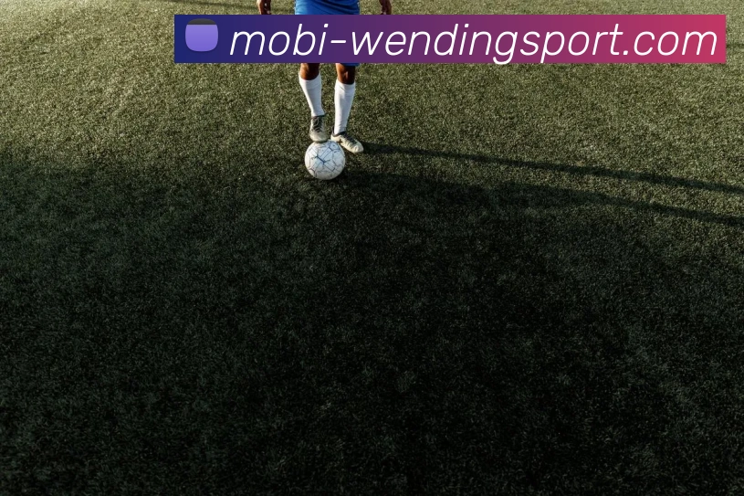 问鼎娱乐平台生态图