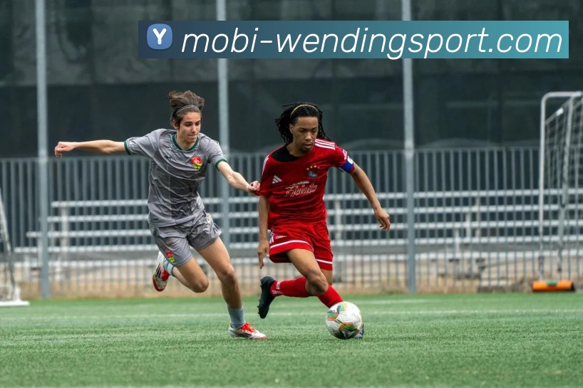 问鼎娱乐APP 封面图